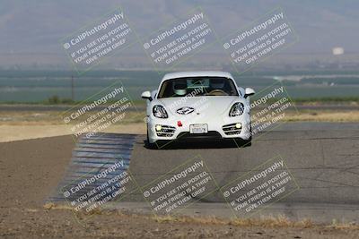 media/May-03-2024-PCA Central Coast (Fri) [[eaa7da0ee1]]/Yellow Group/Session 1 (Grapevine)/